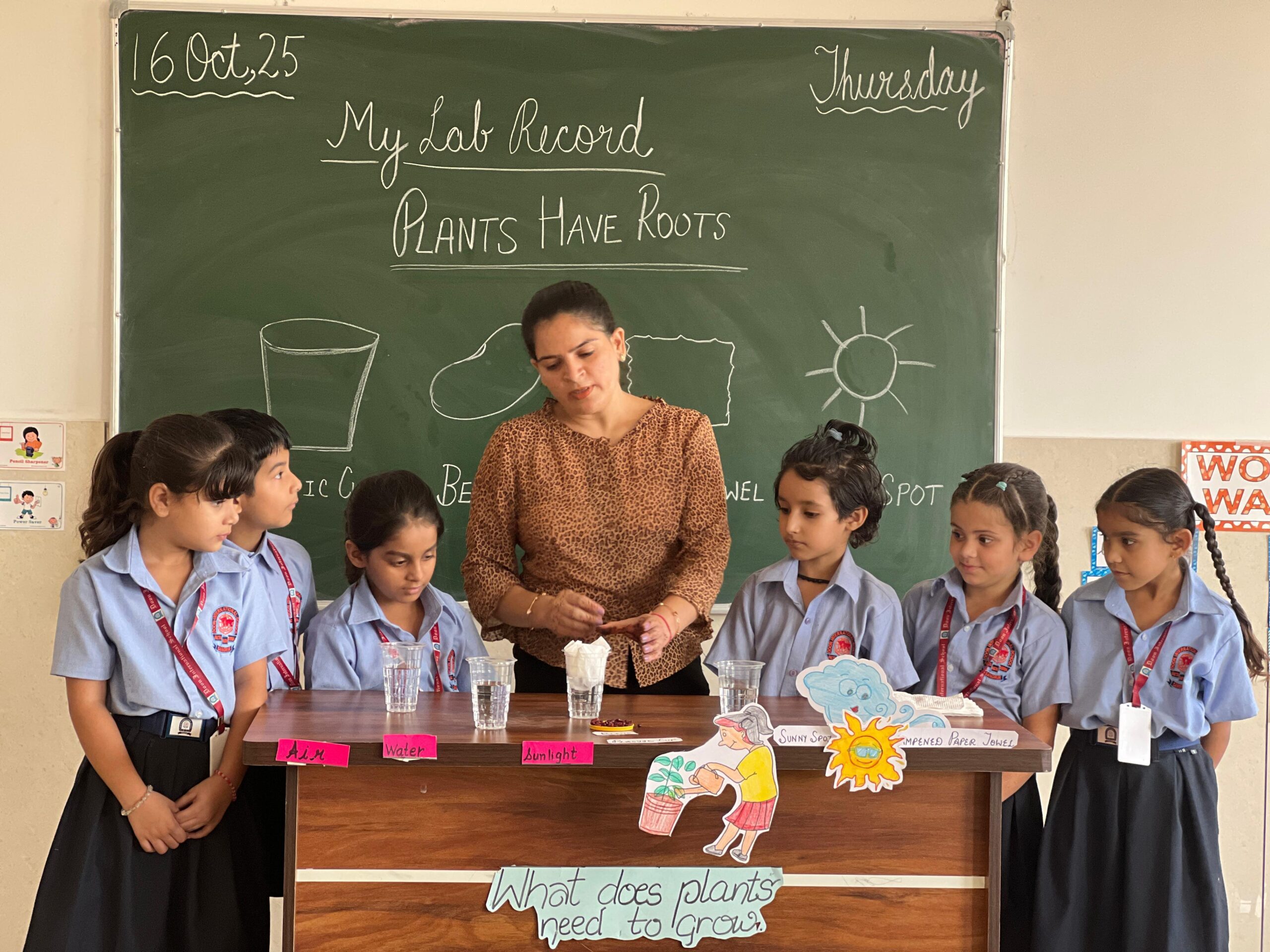 Professional Coaches